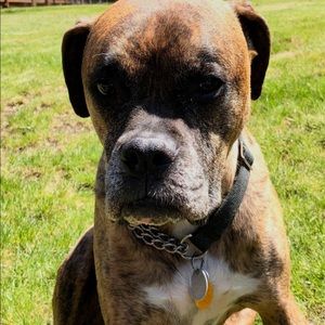 Meet your Posher, Logan